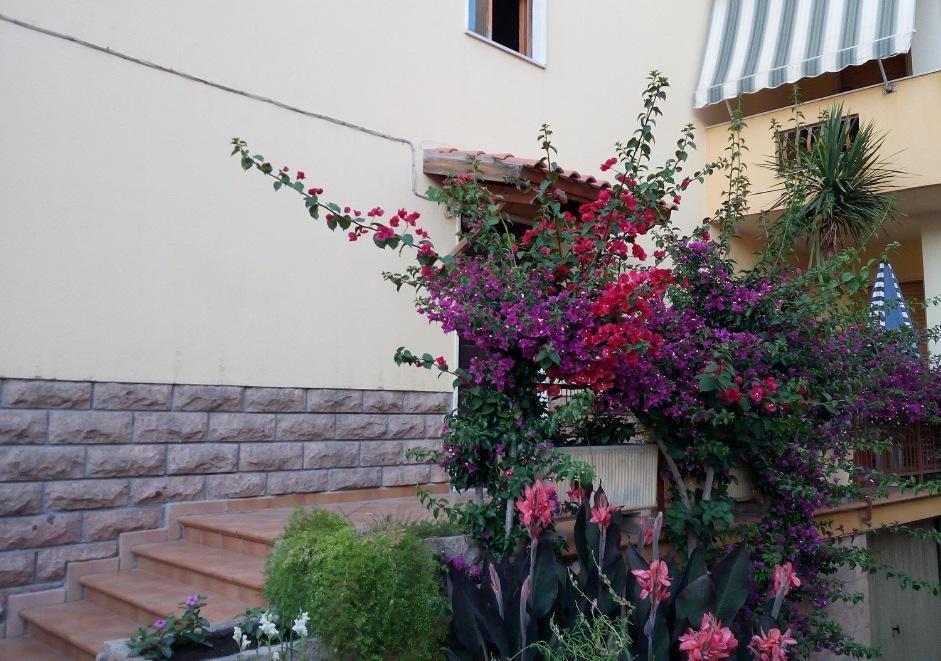 Al 32 Y 3 Bed & Breakfast Alghero Ngoại thất bức ảnh